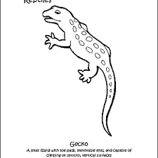 Coloring pages are fun for children of all ages and are a great educational tool that helps children develop fine motor skills. Reptiles Coloring Book 10 Different Pages