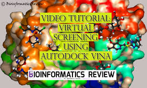 virtual screening using autodock vina