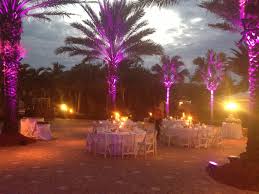 Sunset Terrace Purple Up Lighting Marco Island Marriott