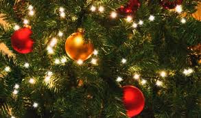 Lojas entregam árvores de Natal decoradas em diversos estilos