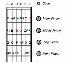 Depbifultenn Bass Guitar Notes Chart