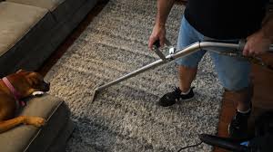 carpet cleaning union county nj
