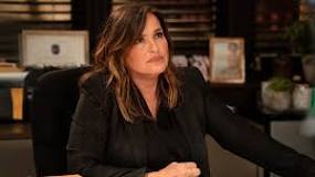 Image result for what is a svu lawyer