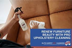 pro upholstery cleaning