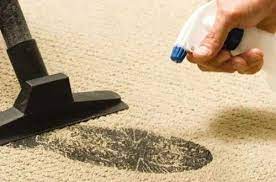 carpet dry clean services at rs 12
