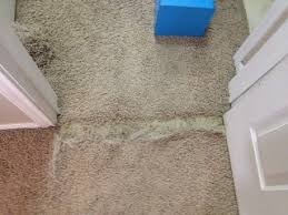 pet doorway carpet repair phoenix