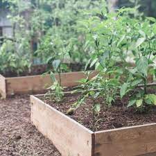 How To Build A Raised Garden Bed For