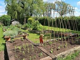 Easy Diy Garden Ideas Field Court