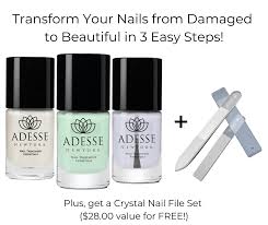 3 step nail damage repair kit