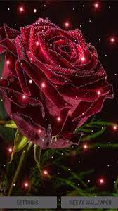 magical rose live wallpaper for android