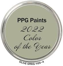 Olive Sprig 1125 4 Colorography Color