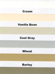 Vanilla Bean Paint Color
