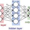 INTRODUCTION OF NEURAL NETWORK