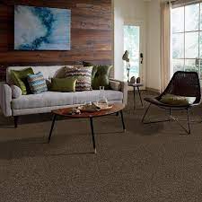 sedona textured interior carpet