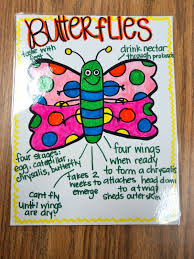 Anchor Chart Butterflies Anchor Charts Kindergarten