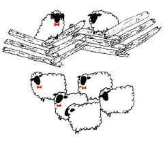 Lambing Calculator Blackies Suffolk Sheep Veggies
