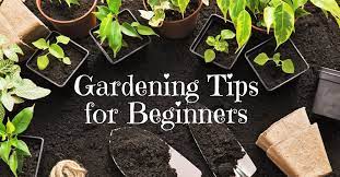 Wondrous Gardening Tips For Beginners