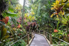 hawaii tropical bioreserve garden