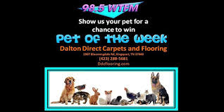 pet of the week 98 5 m johnson