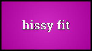 hissy fit meaning you