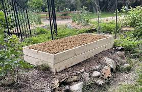 Raised Bed Gardening