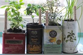 Tea Tin Herb Garden