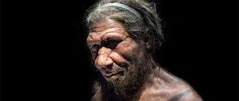 Did Neanderthals have a society? | BBC Science Focus Magazine