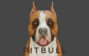 3d model dog pitbull vr ar low