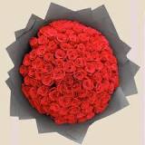 Rosas Rojas Espectaculares: Un Regalo Perfecto