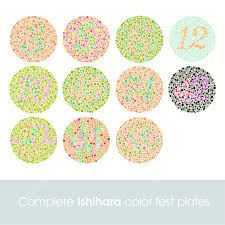 complete ishihara color test blind