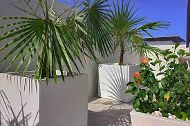 large planter ideas ers guide to