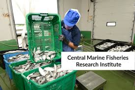 Central marine fisheries research institute. Cmfri Chemistry Job Opening 2020 Junior Research Fellow