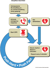 Anaesthesia Today Aha Cpr Guidelines 2010