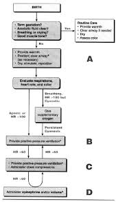 Neonatal Resuscitation Flow Diagram Download Scientific