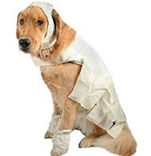 Mummy Pet Dog Costume White With Hood And Leg Warmers