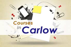 find 734 courses in carlow ireland