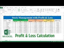 profit loss in excel