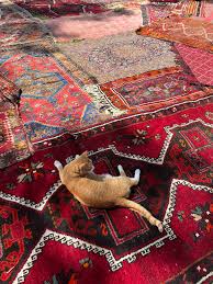 magic rugs