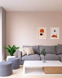 paint walls with gray couch