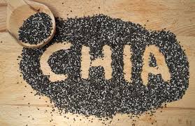 Chia Seeds - Healthy & Delicious by Stephanie Hansen