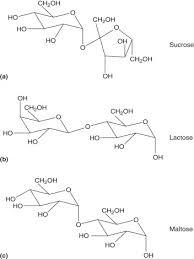 disaccharide an overview