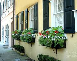 We are offering quality and packaging services with free shipping in all usa and canada. Charleston South Carolina Rainbow Row Yellow Black Shutters Flower Window Boxes French Quarter Poster By Kathy Fornal