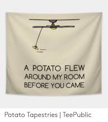 Originally, the vine is about a kid singing a misheard lyric from the r&b song thinkin' bout you by frank ocean. 25 Best Memes About A Potato Flew Around My Room Song Lyrics Meme A Potato Flew Around My Room Song Lyrics Memes