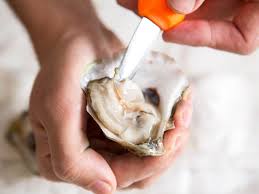 how to shuck an oyster knife skills
