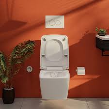 rimless wall hung bidet toilet