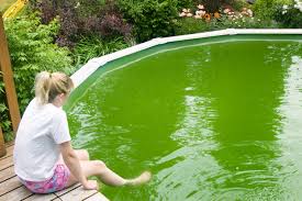 how to clean a green pool fast for
