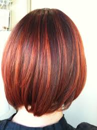 Reality tv star khloe kardashian looks charming with her long coppery auburn locks. Red And Copper Highlights Haircolor Yvonne Pinterest Hair Color Auburn Short Hair Highlights Light Auburn Hair