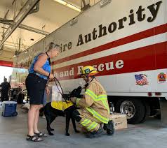 Fire truck siren for dogs. Ocfa Pio On Twitter Firefighters And Puppies Ff S Recently Helped The Orange County Guide Dogs Of America Tender Loving Canines Puppies In Training Be Slowly Introduced To The Sights Scents Sounds Of Ff S And