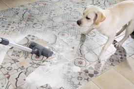 10 best carpet cleaners for pets and