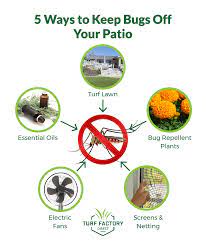 how to keep bugs off your patio turf